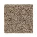 Mohawk Savvy Approach Cedar Chip