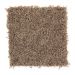 Mohawk Design Duo Colonial Brown