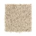 Mohawk Design Duo - Fleck Seashell Collection