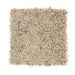 Mohawk Design Duo - Fleck Dry Branch