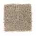 Mohawk Andover Island True Taupe Collection