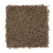 Mohawk Andover Island Cane