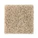 Mohawk Dual Threat - Fleck Lentil Collection
