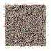 Mohawk Modern Beauty Shadow Silk