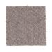 Mohawk Grand Illusion Taupe Treasure