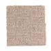 Mohawk Infinite Wisdom Canvas Collection