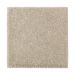 Mohawk Absolute Elegance I Sand Dollar