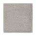 Mohawk Absolute Elegance I Natural Grain