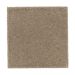 Mohawk Absolute Elegance I Urban Taupe