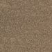 Mohawk Unscripted Edge Autumn Clay