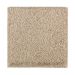 Mohawk Perfectly Composed Tonal Toasted Almond Tonal
