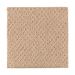 Mohawk Natural Fascination Maple Tint