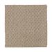 Mohawk Natural Fascination Hearth Beige