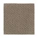 Mohawk Natural Fascination Urban Taupe