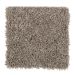 Mohawk Striking Appearance Warm Stone