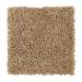 Mohawk Revealing Charm French Canvas
