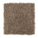 Mohawk Striking Appearance Soapstone