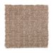 Mohawk Timeless Form Hawaiian Tan