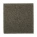 Mohawk Absolute Elegance II Pine Needle