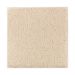 Mohawk Absolute Elegance II Antique Ivory