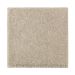 Mohawk Absolute Elegance II Sand Dollar