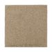 Mohawk Absolute Elegance II Brushed Suede