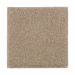 Mohawk Absolute Elegance II Hearth Beige