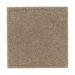 Mohawk Absolute Elegance II Urban Taupe