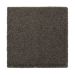 Mohawk Absolute Elegance II Wrought Iron