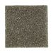 Mohawk Natural Refinement II Pine Needle