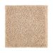 Mohawk Natural Refinement II Maple Tint Collection