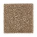 Mohawk Natural Refinement II Rich Earth