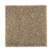 Mohawk Natural Refinement II Pine Cone