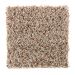 Mohawk Artistic Nature Oyster Shell