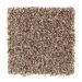 Mohawk Artistic Nature Granite Illusion