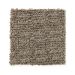 Mohawk Refined Interest Rustic Taupe Collection