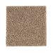 Mohawk Relaxed Mood Autumn Brown