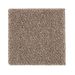 Mohawk Nature's Elegance Hazy Taupe