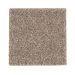 Mohawk Nature's Elegance Weathered Grey