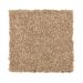 Mohawk Beautiful Variety II Warm Nutmeg