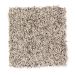 Mohawk Soft Sensations I Warm Stone