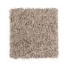 Mohawk Impressive Arrival Soft Taupe Collection