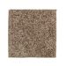Mohawk Perfectly Composed Fleck Birch Bark Fleck