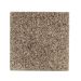 Mohawk Perfectly Composed Fleck Cobble Path Fleck