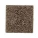 Mohawk Perfectly Composed Fleck Weathered Slate Fleck
