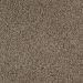 Mohawk Eloquent Charm Maple Buff Collection