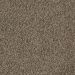 Mohawk Eloquent Charm Smoky Ash