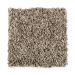 Mohawk Softly Elegant I Dried Peat Collection