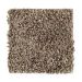 Mohawk Softly Elegant I Honeywood