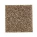 Mohawk Naturally Beautiful II Dried Sage